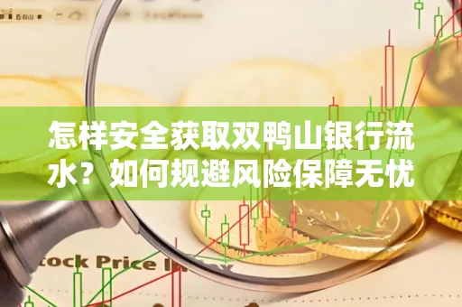怎样安全获取双鸭山银行流水？如何规避风险保障无忧？