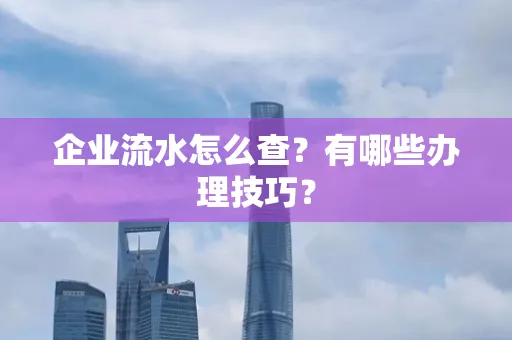 企业流水怎么查？有哪些办理技巧？