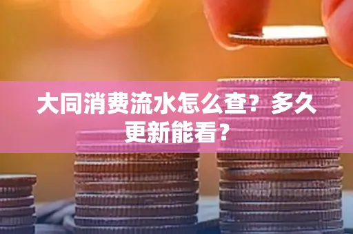 大同消费流水怎么查？多久更新能看？