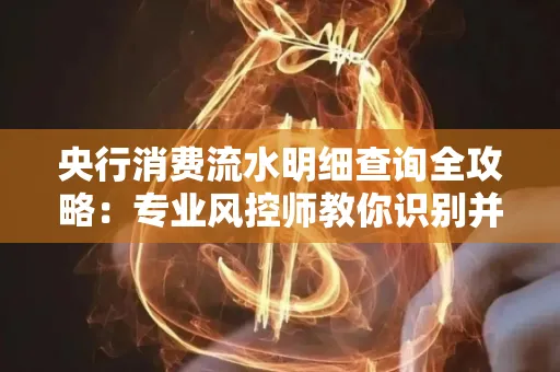 央行消费流水明细查询全攻略：专业风控师教你识别并规避用卡风险！